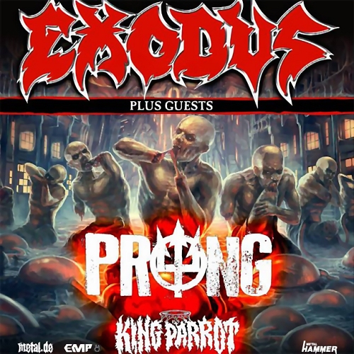 Exodus Prong King Parrot